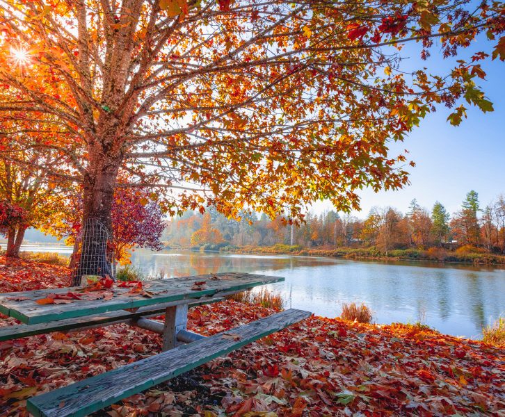 place to sit near the pond in the fall