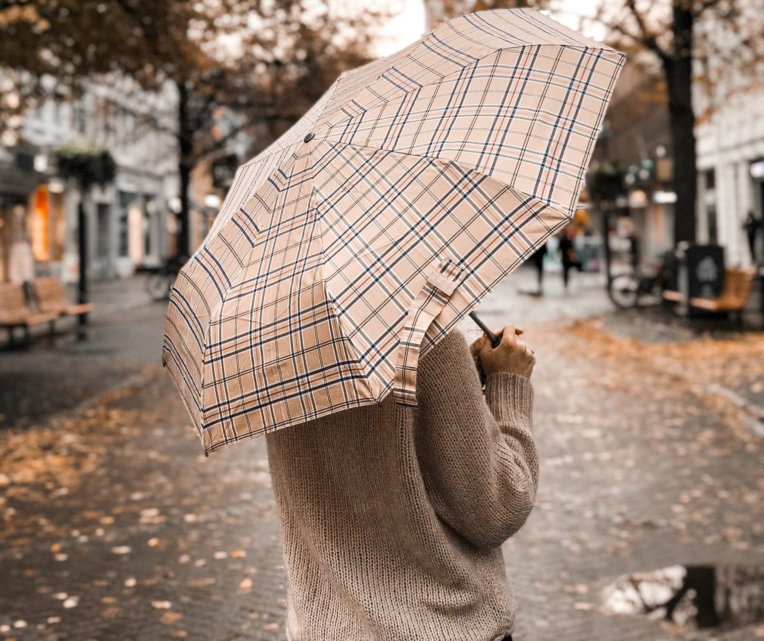 5 Affordable Fall Sweaters That 