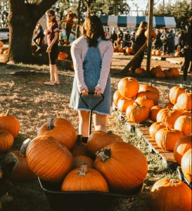 A girl carrying pumpkins