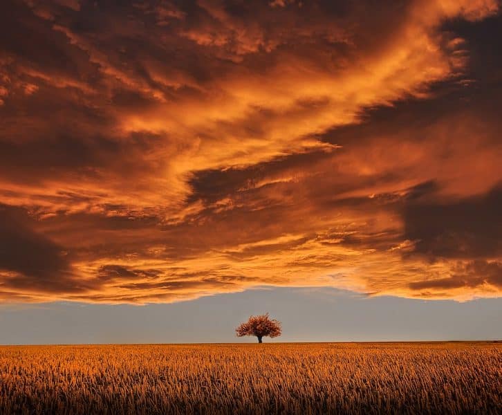Sky